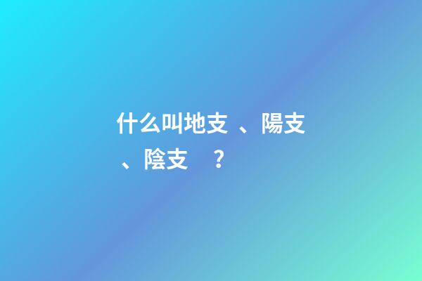 什么叫地支、陽支、陰支？